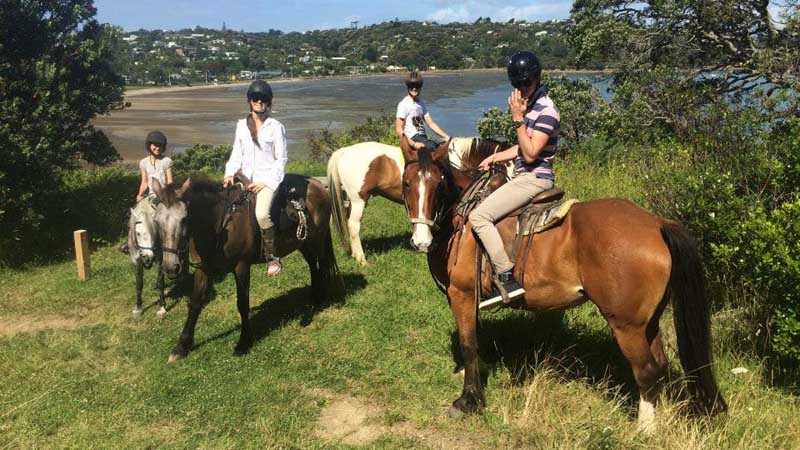 Discover the magic of horse riding with an enchanting 2 hour beach ride on the beautiful island of Waiheke!